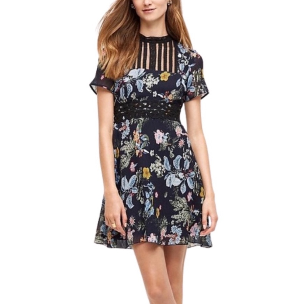 Foxiedox Blue and Purple Flutter Sleeve Mini Dress